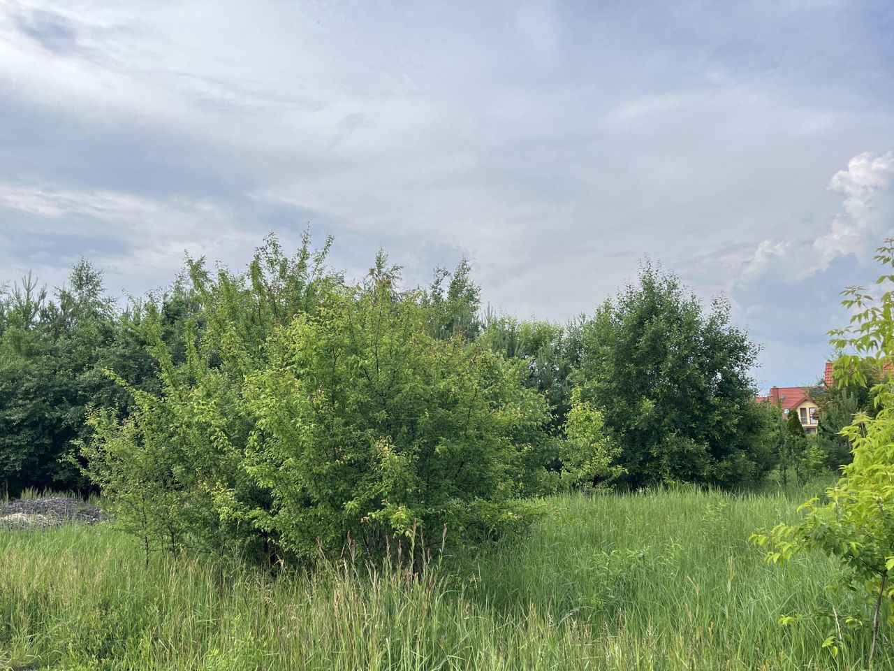 Działka budowlana Mława, ul. Gitarowa. Zdjęcie 1