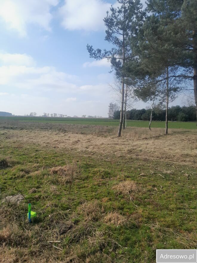 Działka budowlana Budy Trzcińskie. Zdjęcie 2