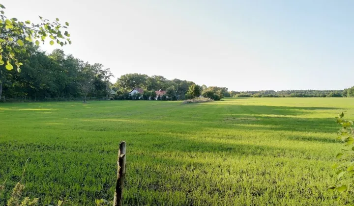 Działka siedliskowa Szczenurze, ul. Turystyczna