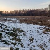 Działka budowlana Dyszów, ul. Bolesława Prusa. Zdjęcie 4