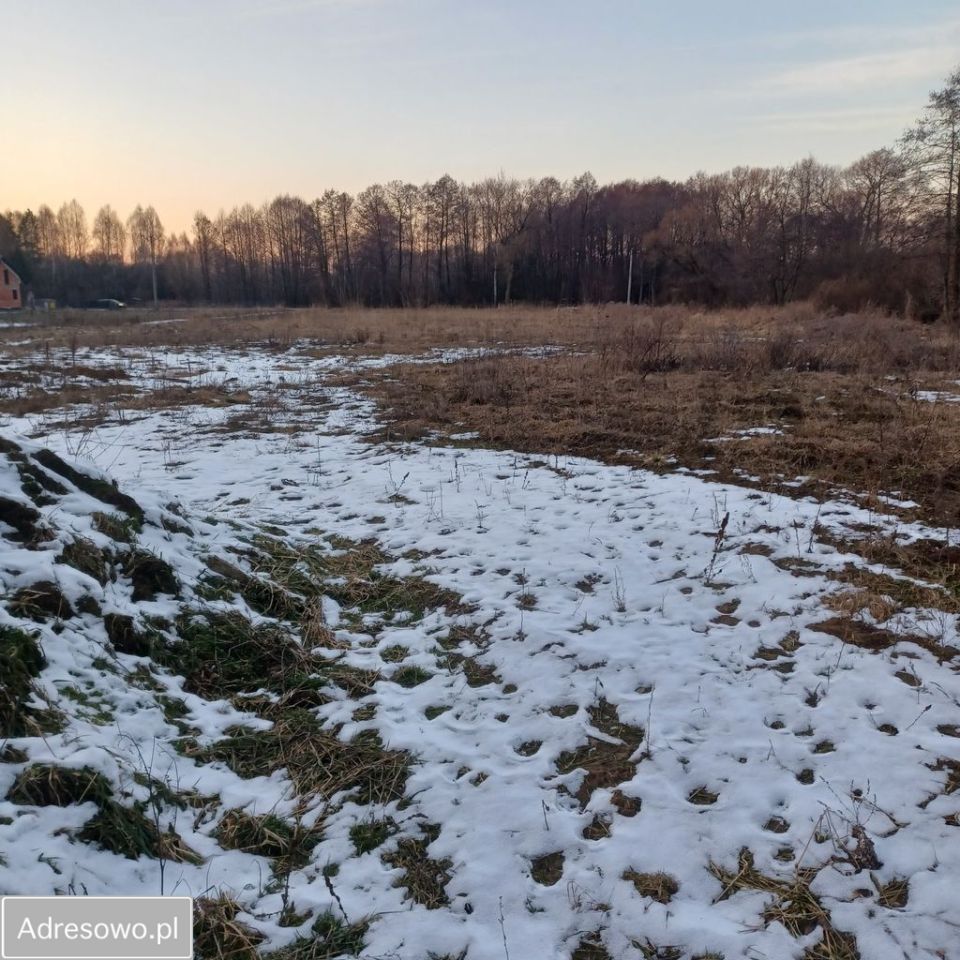 Działka budowlana Dyszów, ul. Bolesława Prusa. Zdjęcie 5