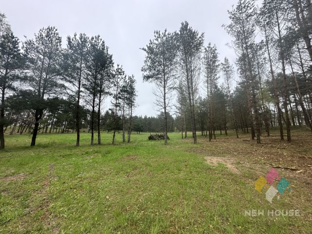 Działka budowlana Tałty. Zdjęcie 20