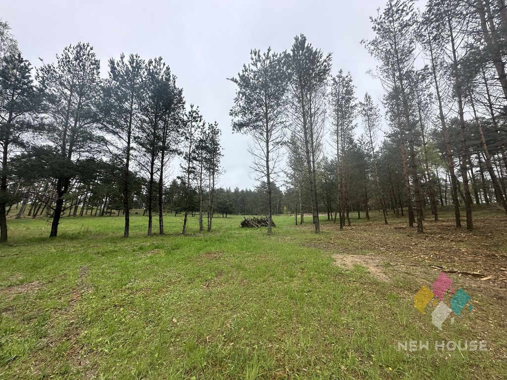 Działka budowlana Tałty. Zdjęcie 20