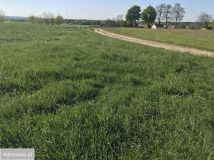 Działka budowlana Mąkoszyce. Zdjęcie 2