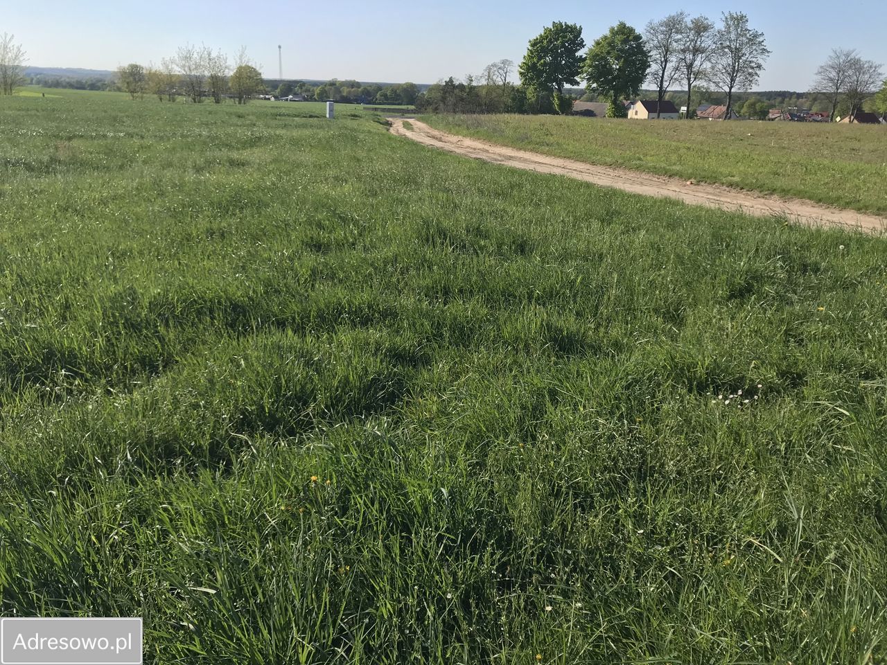 Działka budowlana Mąkoszyce. Zdjęcie 3