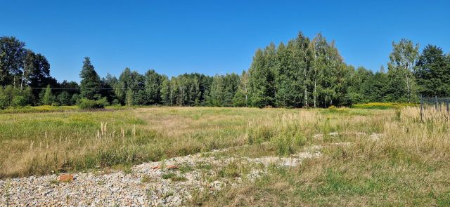 Działka budowlana Nowa Dęba, ul. Borowa. Zdjęcie 1