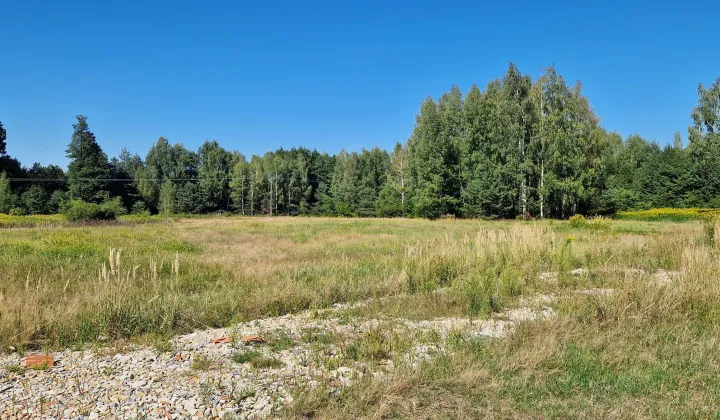 Działka budowlana Nowa Dęba, ul. Borowa