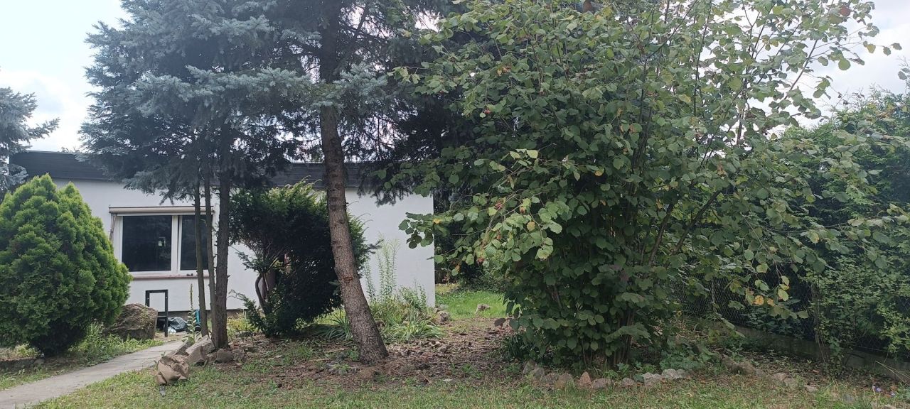 Działka rod Poznań Junikowo, ul. Owcza