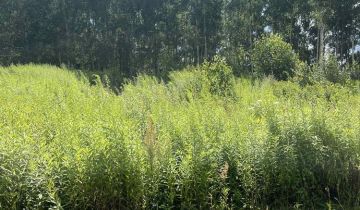 Działka budowlana Naglady, ul. Sportowa