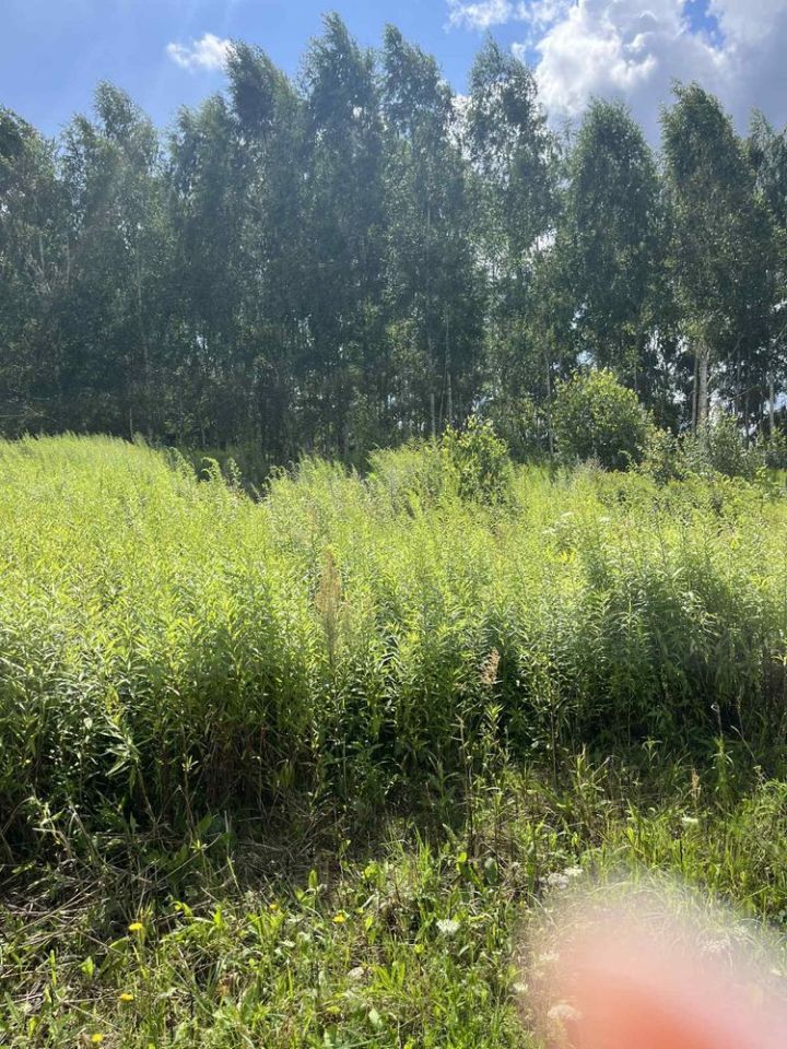 Działka budowlana Naglady, ul. Sportowa