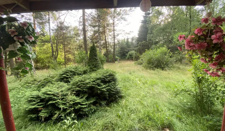 Działka rekreacyjna Rokitnica