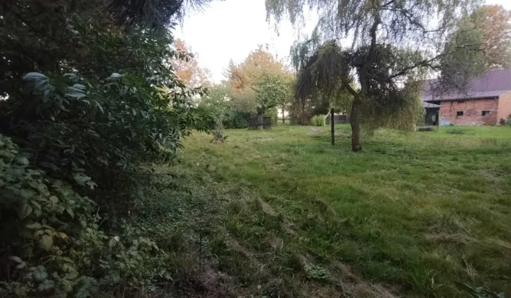 Działka budowlana Jankowice