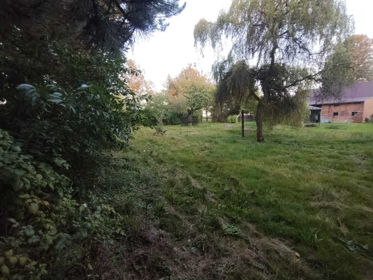 Działka budowlana Jankowice. Zdjęcie 1