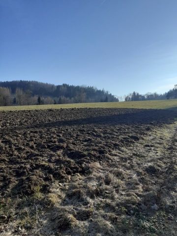 Działka budowlana Krynica-Zdrój. Zdjęcie 1