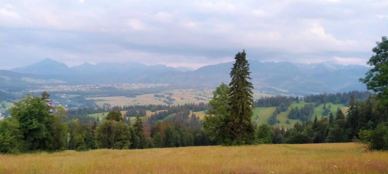 Działka rolna Suche. Zdjęcie 8