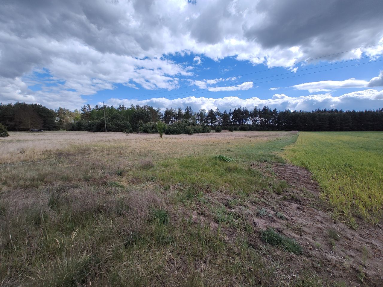 Działka budowlana Tarkowo Dolne, ul. Gawronia. Zdjęcie 3