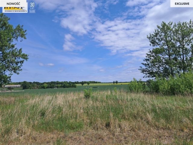 Działka budowlana Witkowo Pierwsze. Zdjęcie 2