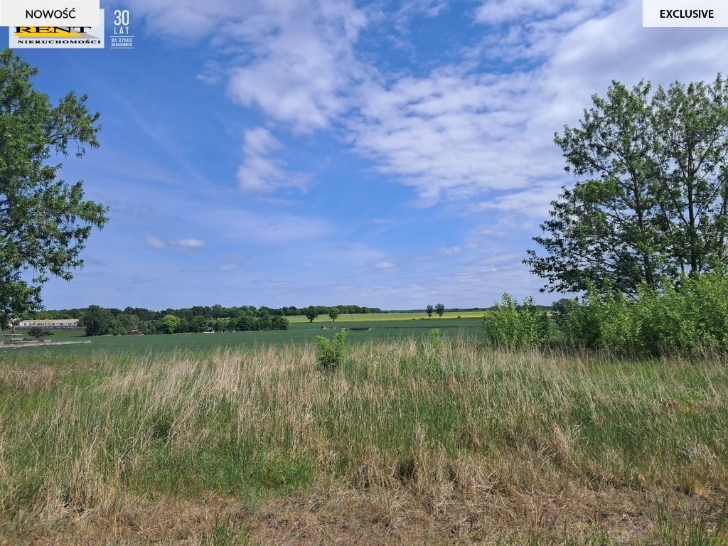 Działka budowlana Witkowo Pierwsze. Zdjęcie 2