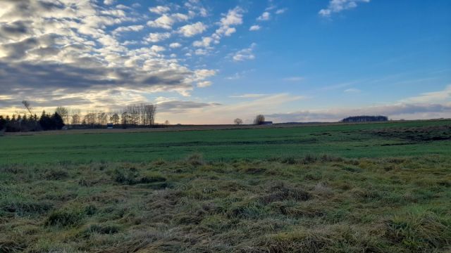 Działka budowlana Lubin, Krzeczyn Wielki. Zdjęcie 3