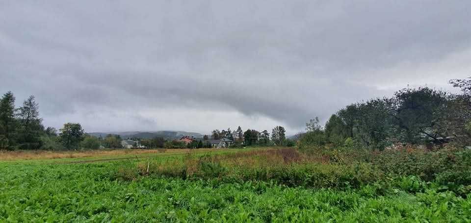 Działka rolno-budowlana Iwla. Zdjęcie 4