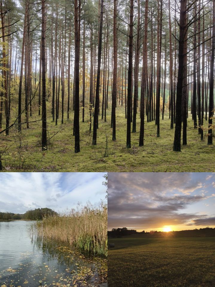 dom letniskowy, 2 pokoje Królowa Wola, Królowa Wola. Zdjęcie 9