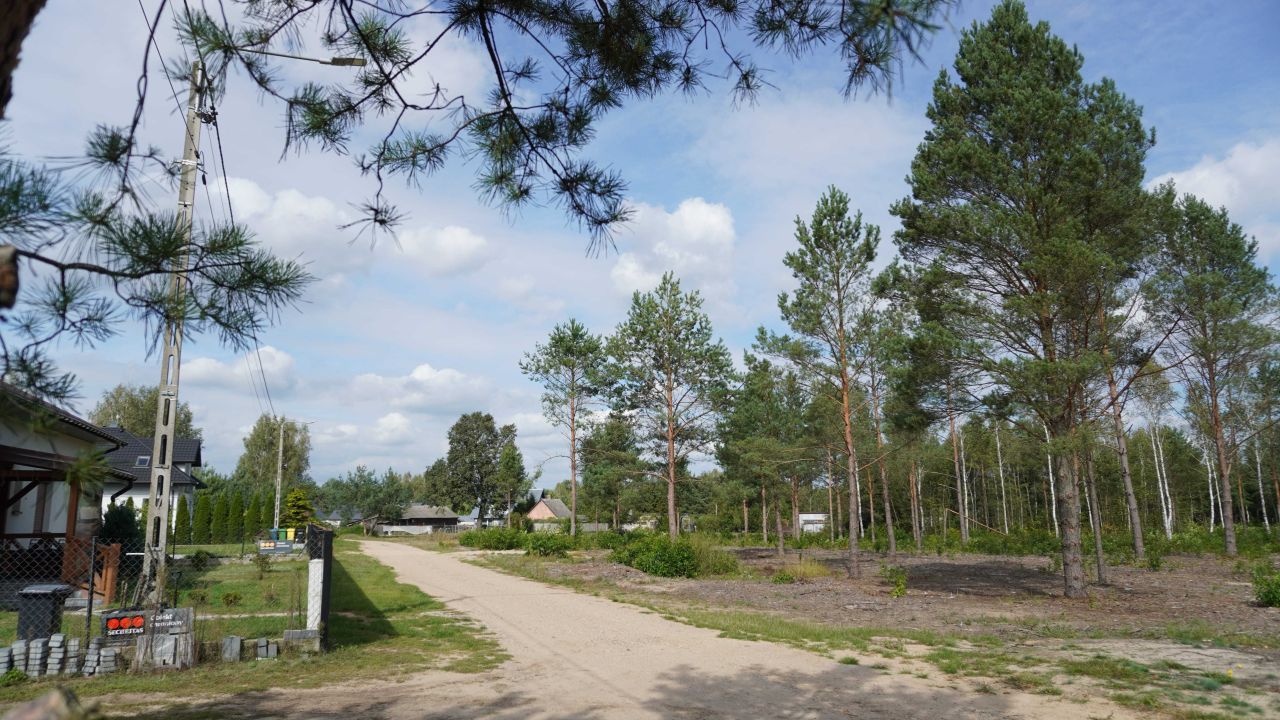 Działka budowlana Rogóźnia. Zdjęcie 7