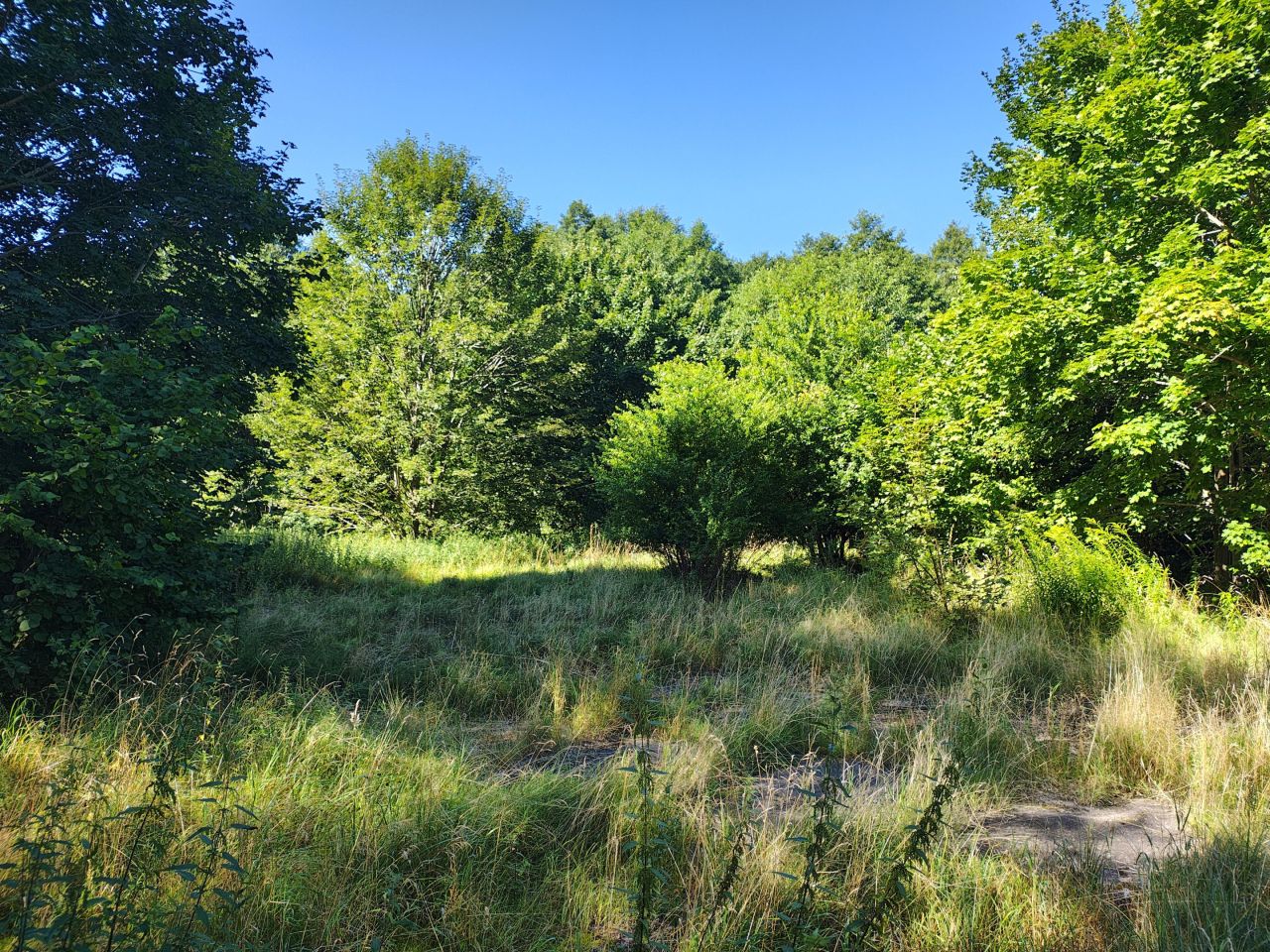 Działka inwestycyjna Poganice. Zdjęcie 9