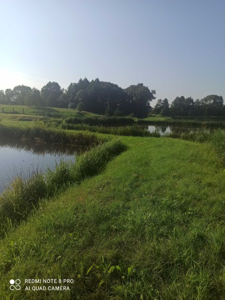 Działka rolna Recz. Zdjęcie 5