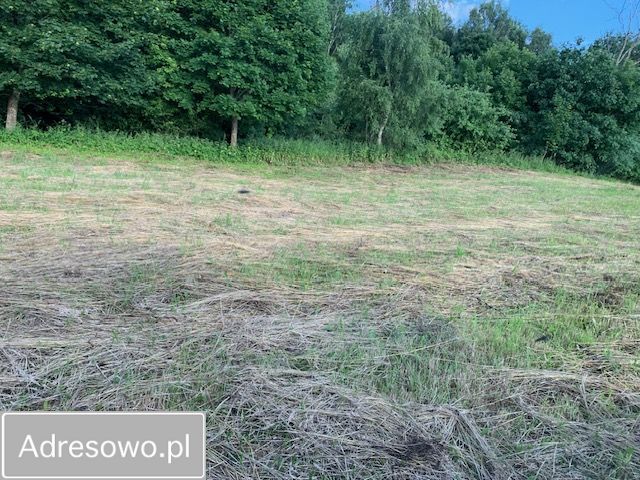 Działka rolna Popowa Wola. Zdjęcie 3