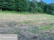 Działka rolna Popowa Wola. Zdjęcie 2