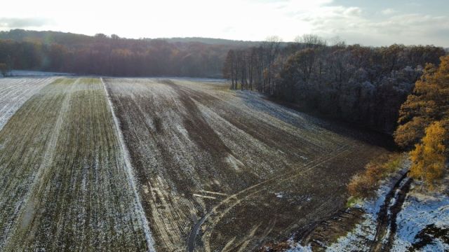 Działka inwestycyjna Wilkowa. Zdjęcie 5