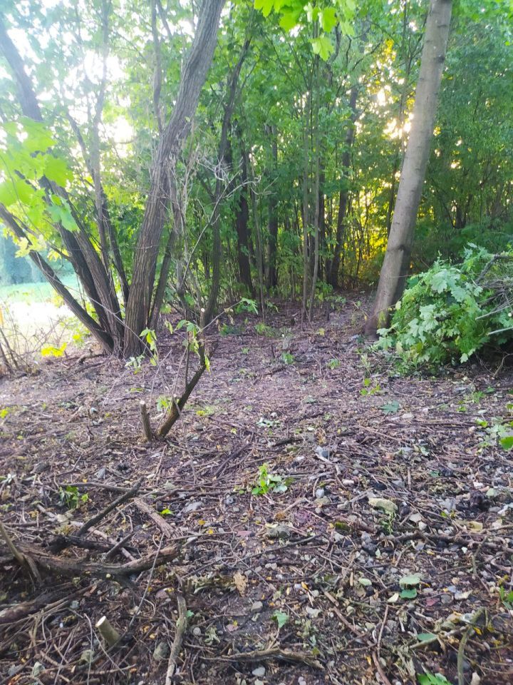 Działka budowlana Pęczelice. Zdjęcie 8