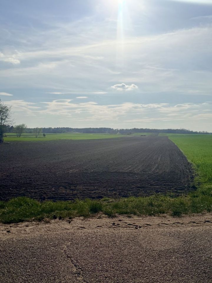 Działka budowlana Osiek. Zdjęcie 2