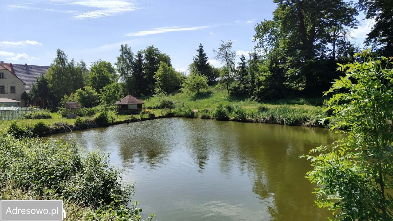 siedlisko, 10 pokoi Zagrodno. Zdjęcie 8