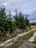 Działka budowlana Szczedrzykowice Szczedrzykowice-Stacja. Zdjęcie 3
