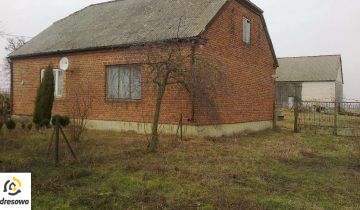 bliźniak Biskupiec