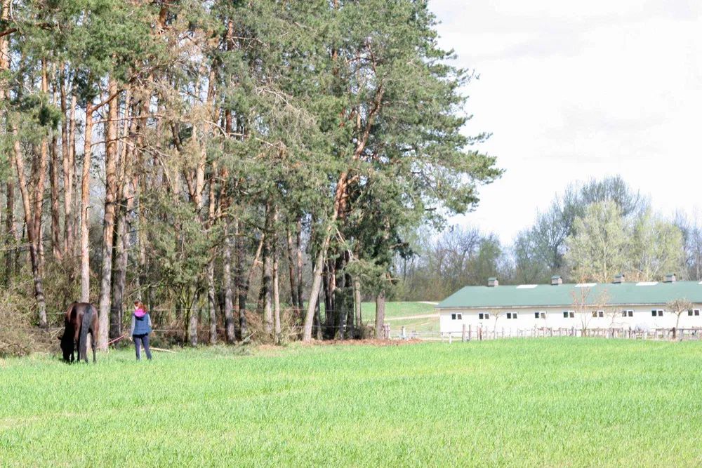 Nieruchomość komercyjna Sady. Zdjęcie 6