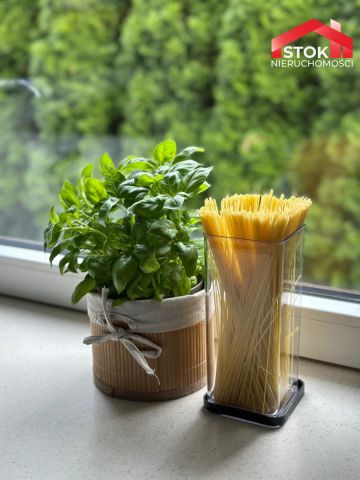 dom wolnostojący, 5 pokoi Śródlesie. Zdjęcie 22