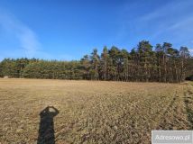 Działka rolna Kolonia Rozniszew. Zdjęcie 2