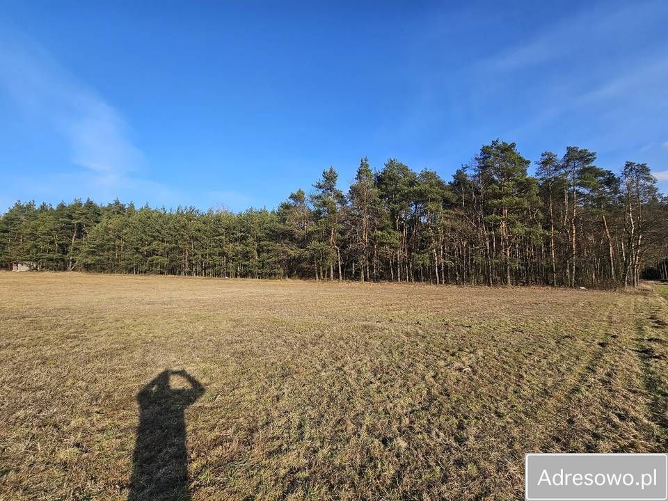 Działka rolna Kolonia Rozniszew. Zdjęcie 3