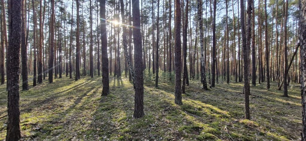 Działka siedliskowa Osiedle Wilga. Zdjęcie 9