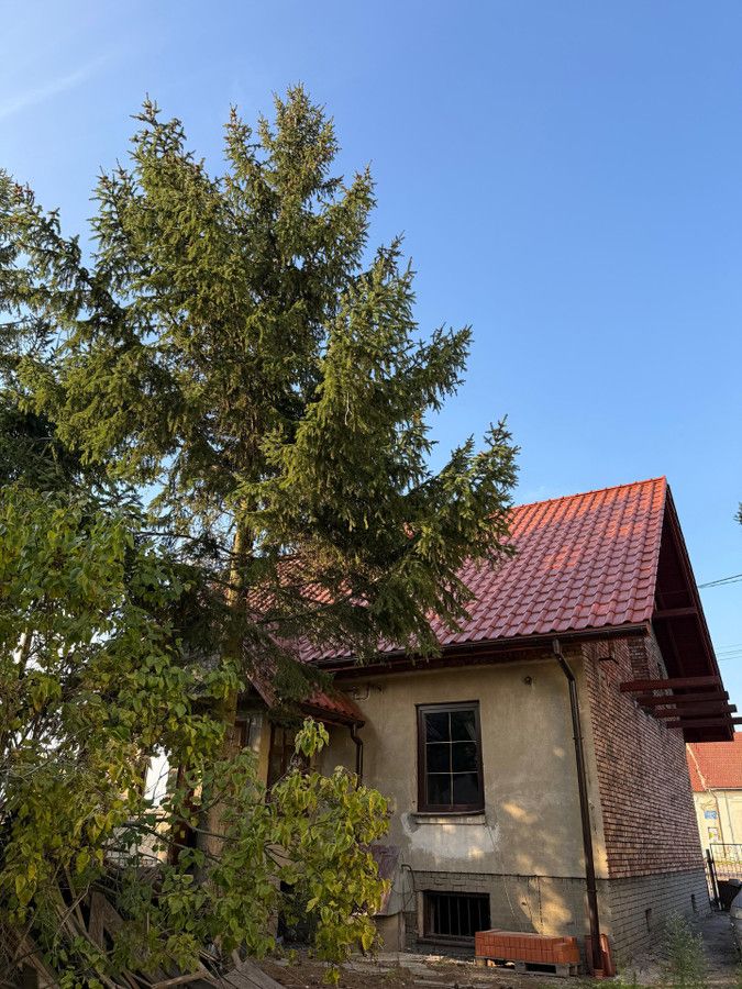 gospodarstwo, 4 pokoje Żuraw. Zdjęcie 8