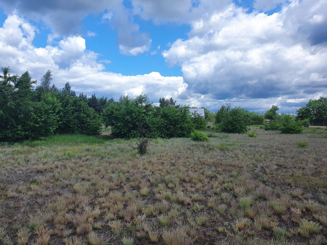 Działka budowlana Kępa Niemojewska. Zdjęcie 18