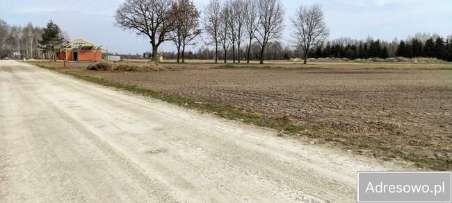 Działka budowlana Orły-Cesin. Zdjęcie 12