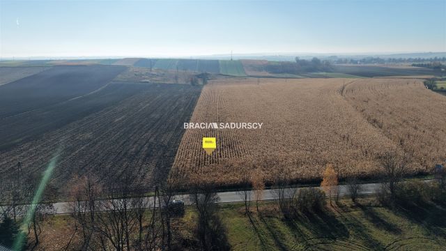 Działka budowlana Prandocin-Iły. Zdjęcie 10