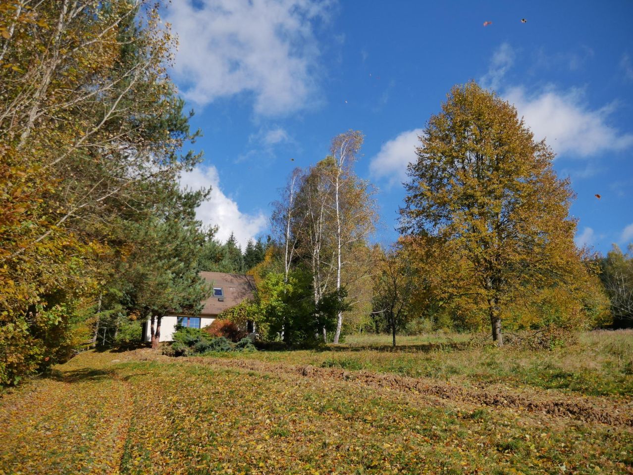 dom wolnostojący, 5 pokoi Rozpucie Młyniska. Zdjęcie 4