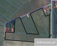 Działka rolna Stopnica. Zdjęcie 2