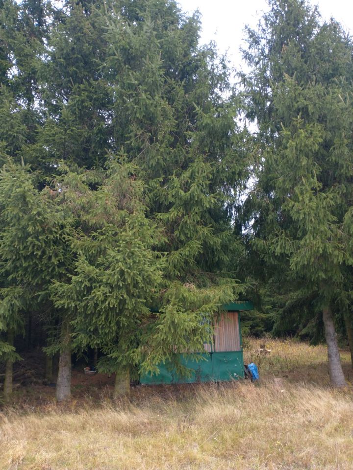 Działka rolna Ługi. Zdjęcie 15