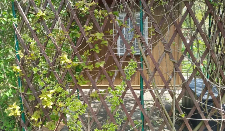 Działka rod Rzeszów Nowe Miasto, al. Niepodległości