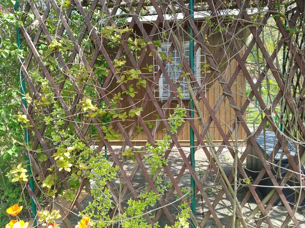 Działka rod Rzeszów Nowe Miasto, al. Niepodległości. Zdjęcie 1